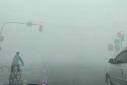 Kabut Asap di Paser Makin Menebal