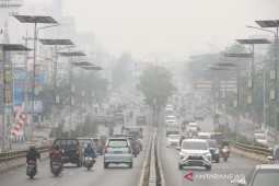 Dampak Karhutla Di Kalsel