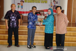 TP PKK Tapin Laksanakan Seminar Tumbuh Kembang anak