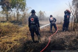 PMI kerahkan relawan untuk atasi karhutla dan kabut asap