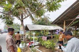 DKP  Tangerang gencarkan penanaman hidroponik atasi keterbatasan lahan