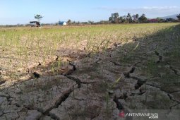 RUU Sumber Daya Air DA disetujui jadi UU, ini kata pemerintah