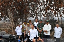 Presiden Jokowi tegaskan pentingnya upaya pencegahan  Karhutla