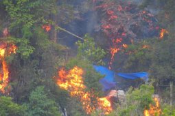 Gubernur Gorontalo sebut ada sanksi untuk pembakar lahan