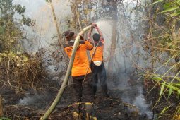DLH Paser  gelar operasi semut pemadamanan Api