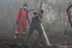 Penanggulangan karhutla libatkan 29.039 personel