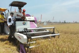 Kalsel siap menjadi provinsi penyangga pangan ibu kota negara baru