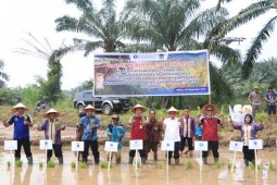 Bank Indonesia bantu kandang komunal sapi