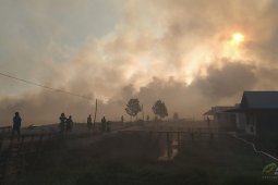 14 companies named as suspects in forest fires