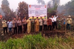 Kembali lima lahan perkebunan sawit disegel
