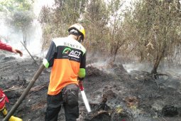 ACT : Kabut asap di Sumatera dan Kalimantan sangat berbahaya