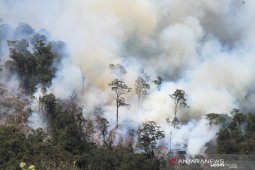 BPBD Sumsel akui masih kesulitan padamkan kebakaran lahan gambut