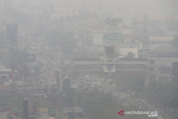Kota Banjarmasin Terpapar Kabut Asap Karhutla