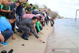 Peringatan World Cleanup Day 2019 diwarnai aksi pelepasan tukik oleh Gubernur NTB