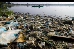 Menangkap ikan di waduk tercemar sampah