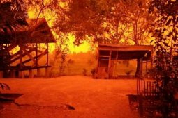 WARSI sebut kebakaran hutan dan lahan di Jambi semakin meluas