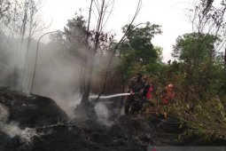 Patroli hutan kawasan Tahura Sultan Thaha diintensifkan