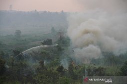 Kebakaran Lahan Di Perbatasan Kota Banjarmasin