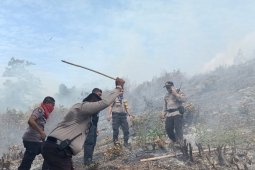 Damkar dan polisi sulit padamkan karhutla di negeri Amahusu