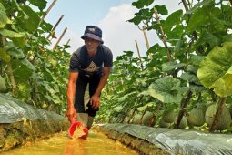 Desa Sungai Keruh, larangan merokok hingga agrowisata dorong kualitas hidup dan cegah kebakaran