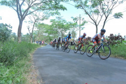 Etape pertama balap sepeda ITdBI jadi pemanasan bagi pebalap (Video)