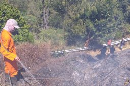 Kebakaran hutan di Gunung Semeru terus meluas capai 60,4 ha