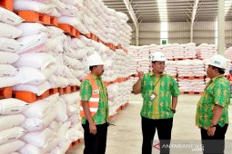 Petrokimia Gresik siapkan 787.280 ton pupuk hadapi musim tanam Oktober-Maret