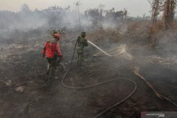 Polri tetapkan 325 tersangka individu terkait karhutla