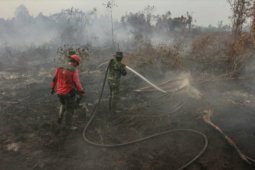 Personel BPBD Inhil terserang ISPA usai padamkan Karhutla