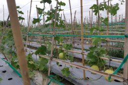 Herbalife berikan tips cegah serangan jantung