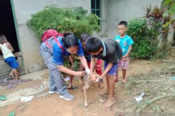 Antisipasi rabies, Kabupaten Landak siapkan 7.000 dosis
