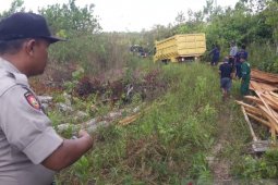 Lahan untuk penyelamat orang utan dirambah sejumlah orang