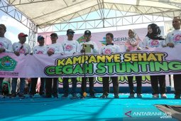 Wabup Raja'e pimpin deklarasi penanganan penyakit kerdil