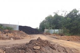 Pabrik semen diduga  beli batu bara ilegal