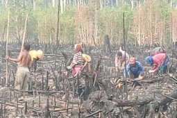 Pemkab Bangka jadwalkan musim tanam padi petani