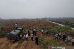 Tim gabungan terus berusaha padamkan karhutla di Kalsel
