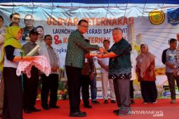 Antara Tv - Pemprov Kepulauan Babel luncurkan integrasi sapi-sawit