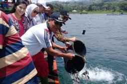 Samosir tebar ribuan bibit ikan nila di Danau Toba