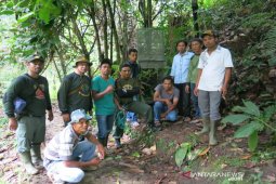 Beruang "hantui" warga Desa Simpang Duhu Dolok Madina