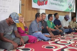 Pertanian organik solusi pertanian berkelanjutan