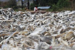 Harga ikan asin turun