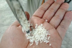 Bulog siapkan 1.600 ton antisipasi kenaikan harga beras di barat Aceh