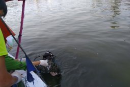 Ancol menjadi kawasan restorasi Kerang Hijau pertama di Indonesia