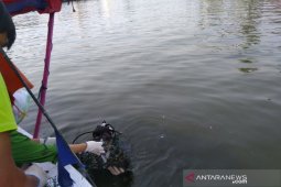 3 tons green mussels to clean Jakarta Bay
