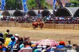 Sapi "Jet Metic" menangi karapan Piala Presiden di Bangkalan