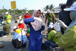 Peneliti : Kerang Hijau Teluk Jakarta cocok untuk biofilter