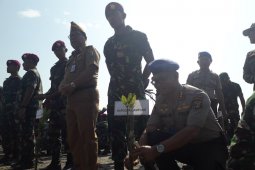 300.74 bibit mangrove ditanam serentak pada puncak HUT TNI