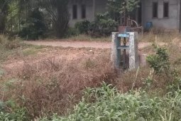 Pintu irigasi dikepung rumput