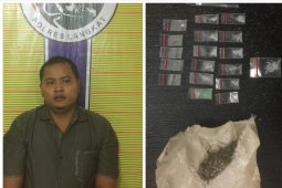 Satresnarkoba Polres Langkat tangkap pemilik sabu-sabu, ekstasi dan ganja