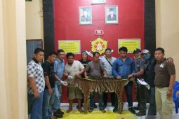 Tiga pemburu harimau Sumatera ditangkap
